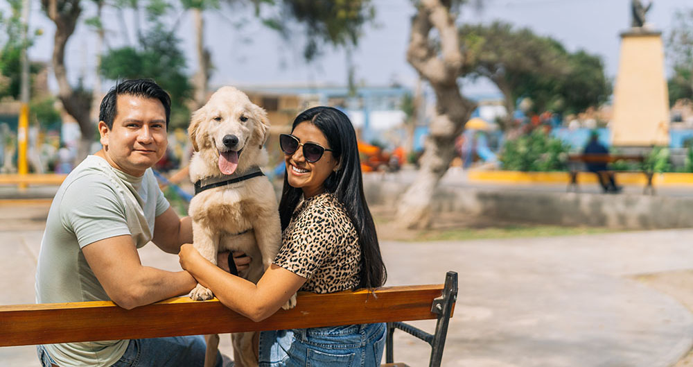 Portrait of a latin couple with a puppy Labrador dog in a park bench