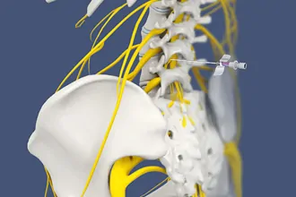 lumbar-sympathetic-block-tampa-fl